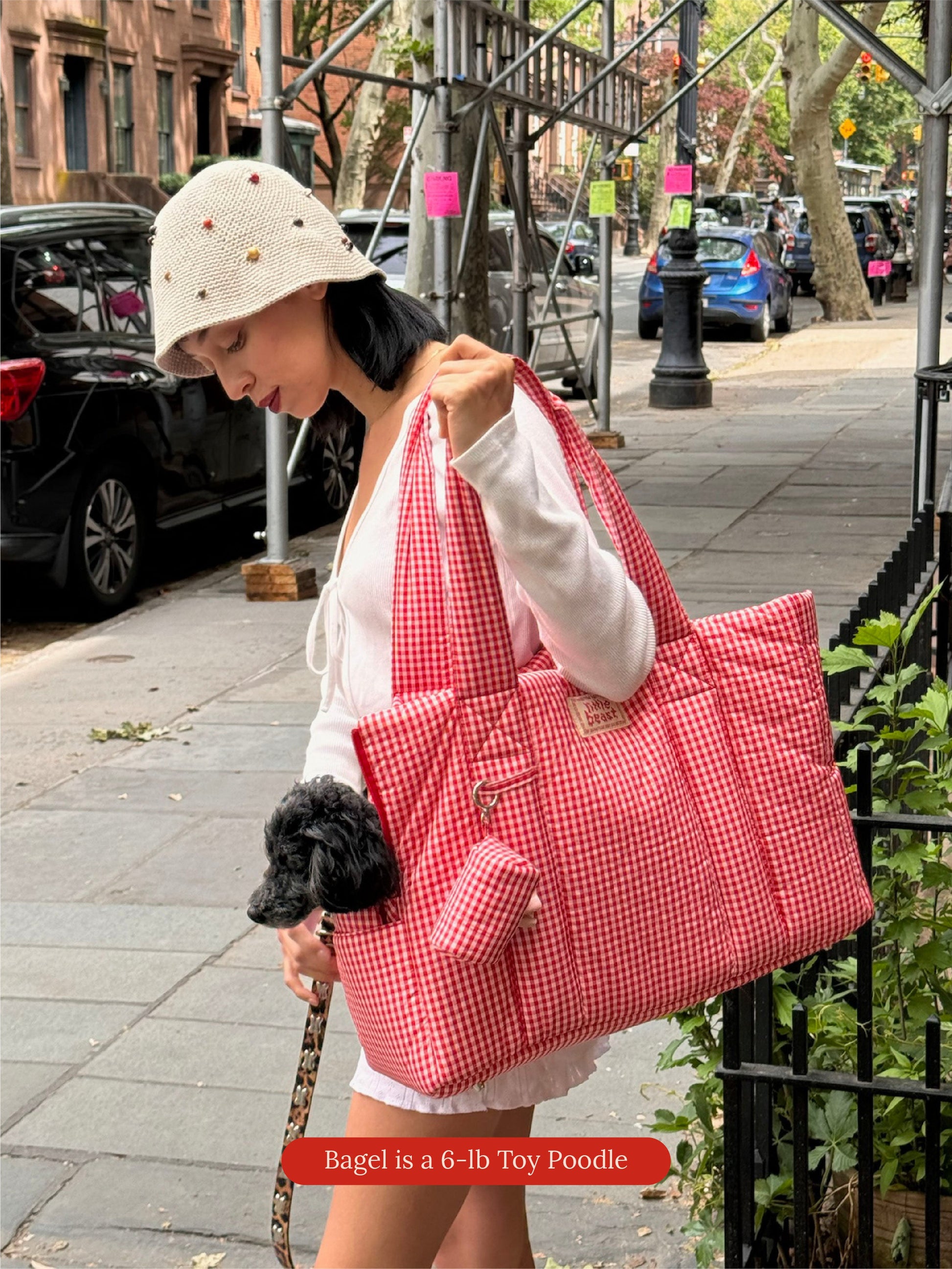 Little Beast Dog Carrier One Size The Little Beast Carrier - Strawberry