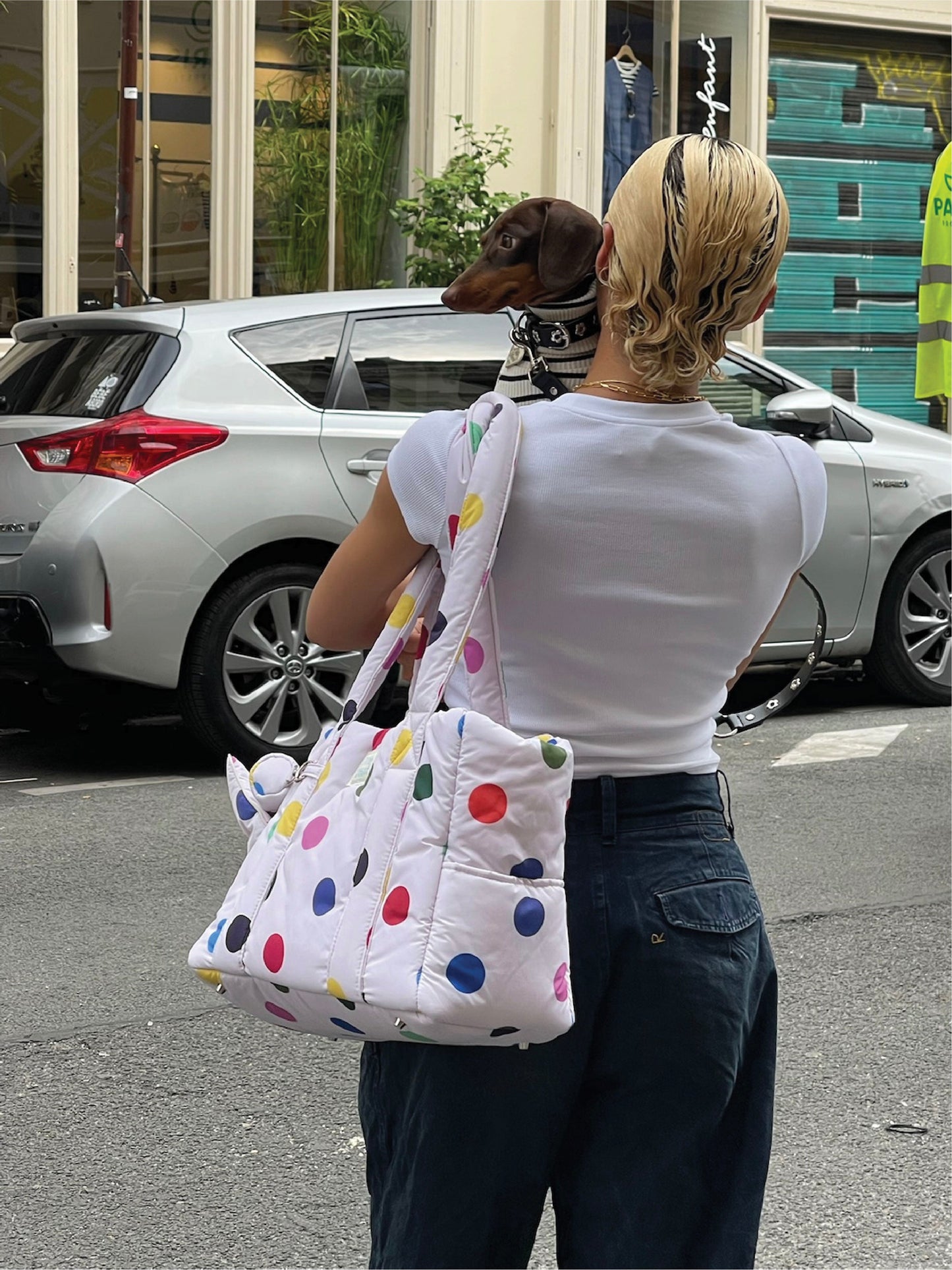 Little Beast Dog Carrier OS The Little Beast Mini Carrier - Damien