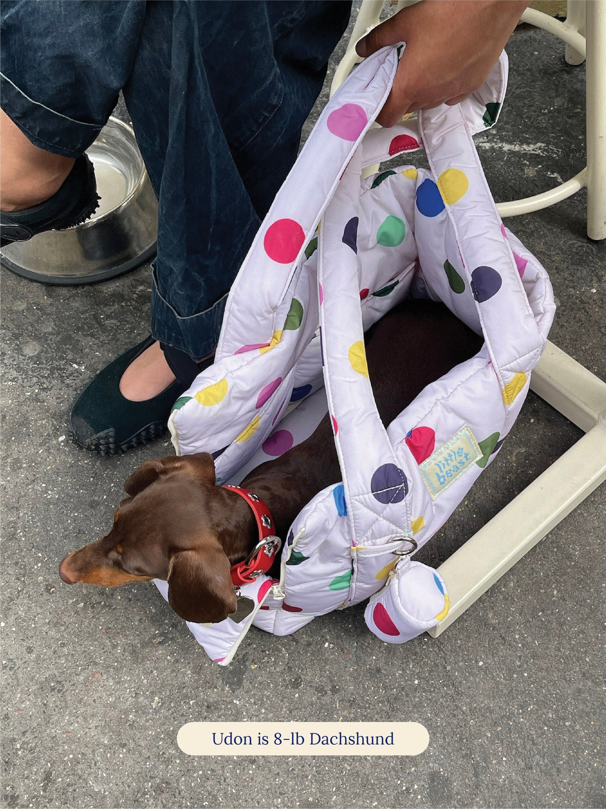 Little Beast Dog Carrier OS The Little Beast Mini Carrier - Damien