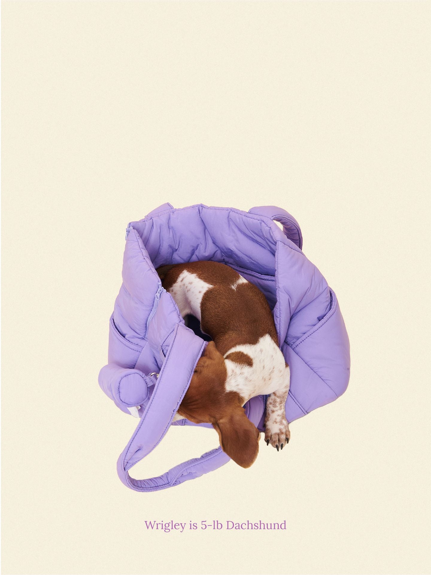 Little Beast Dog Carrier The Little Beast Mini Carrier - Ube