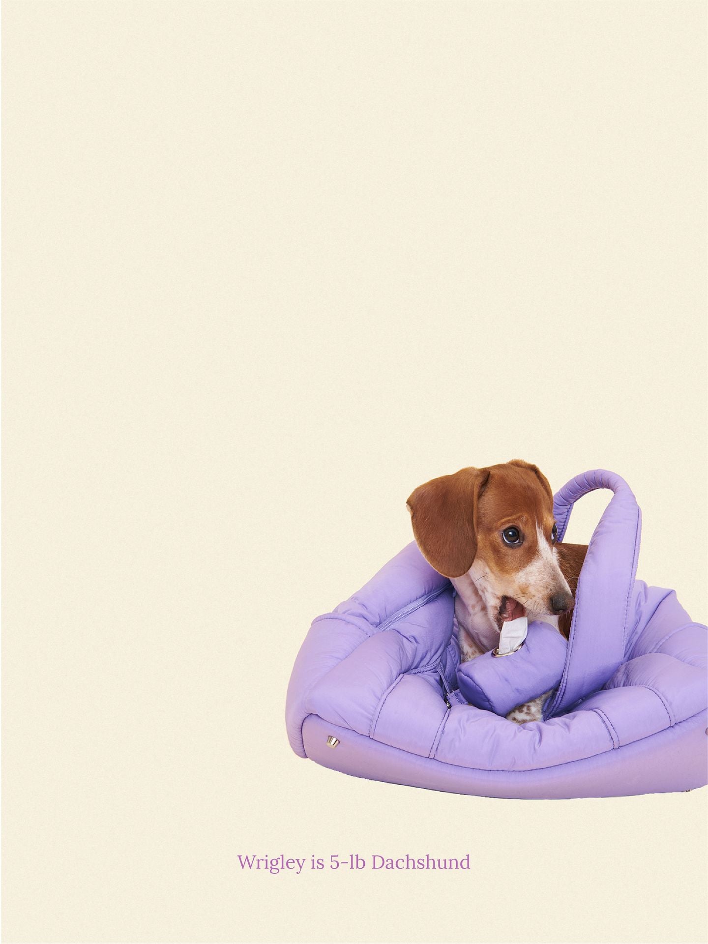 Little Beast Dog Carrier The Little Beast Mini Carrier - Ube