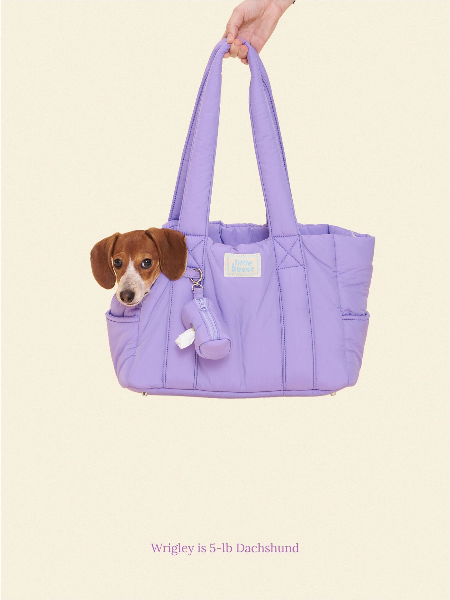 Little Beast Dog Carrier The Little Beast Mini Carrier - Ube