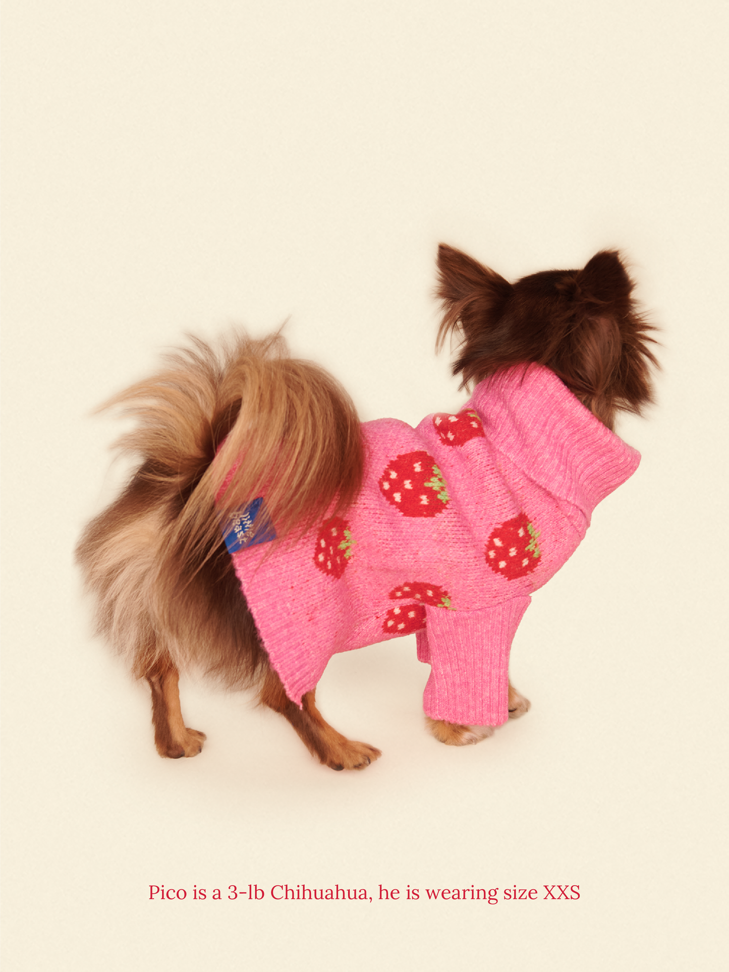 Little Beast Dog Sweater The Strawberry Sweater 🍓