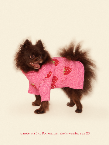 Little Beast Dog Sweater The Strawberry Sweater