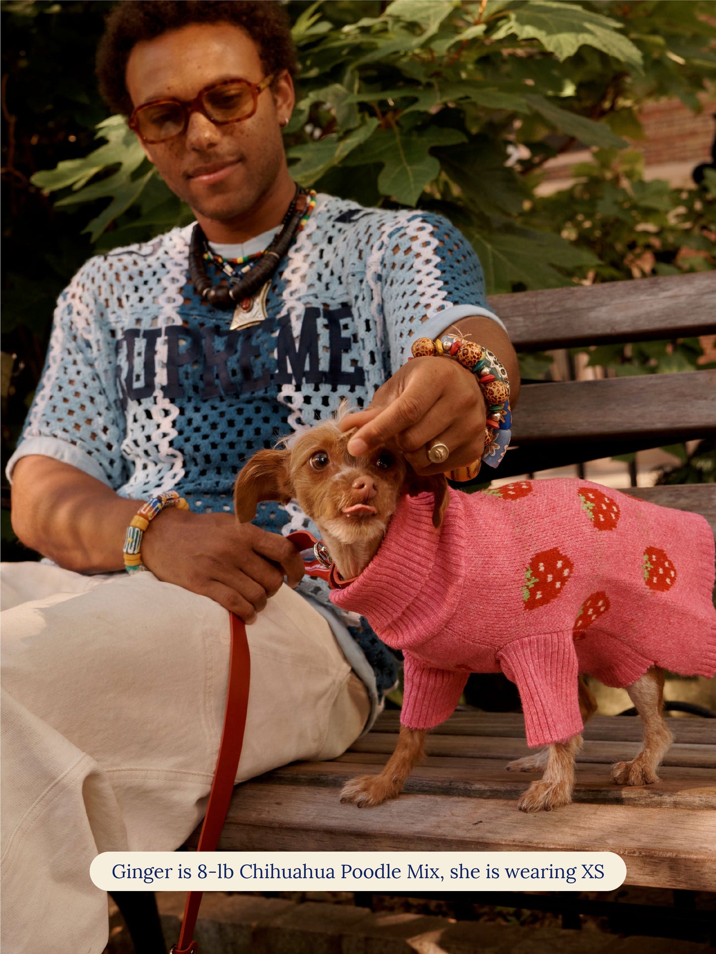 Little Beast Dog Sweater The Strawberry Sweater