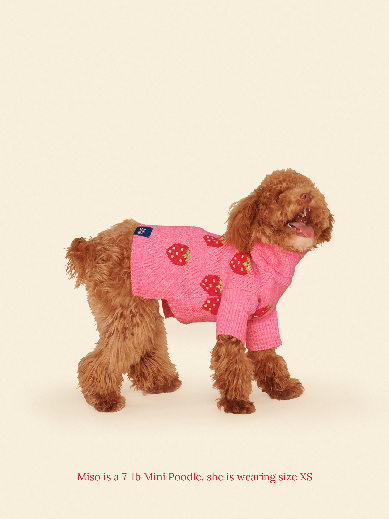 Little Beast Dog Sweater The Strawberry Sweater
