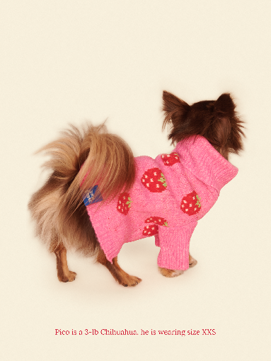 Little Beast Dog Sweater The Strawberry Sweater