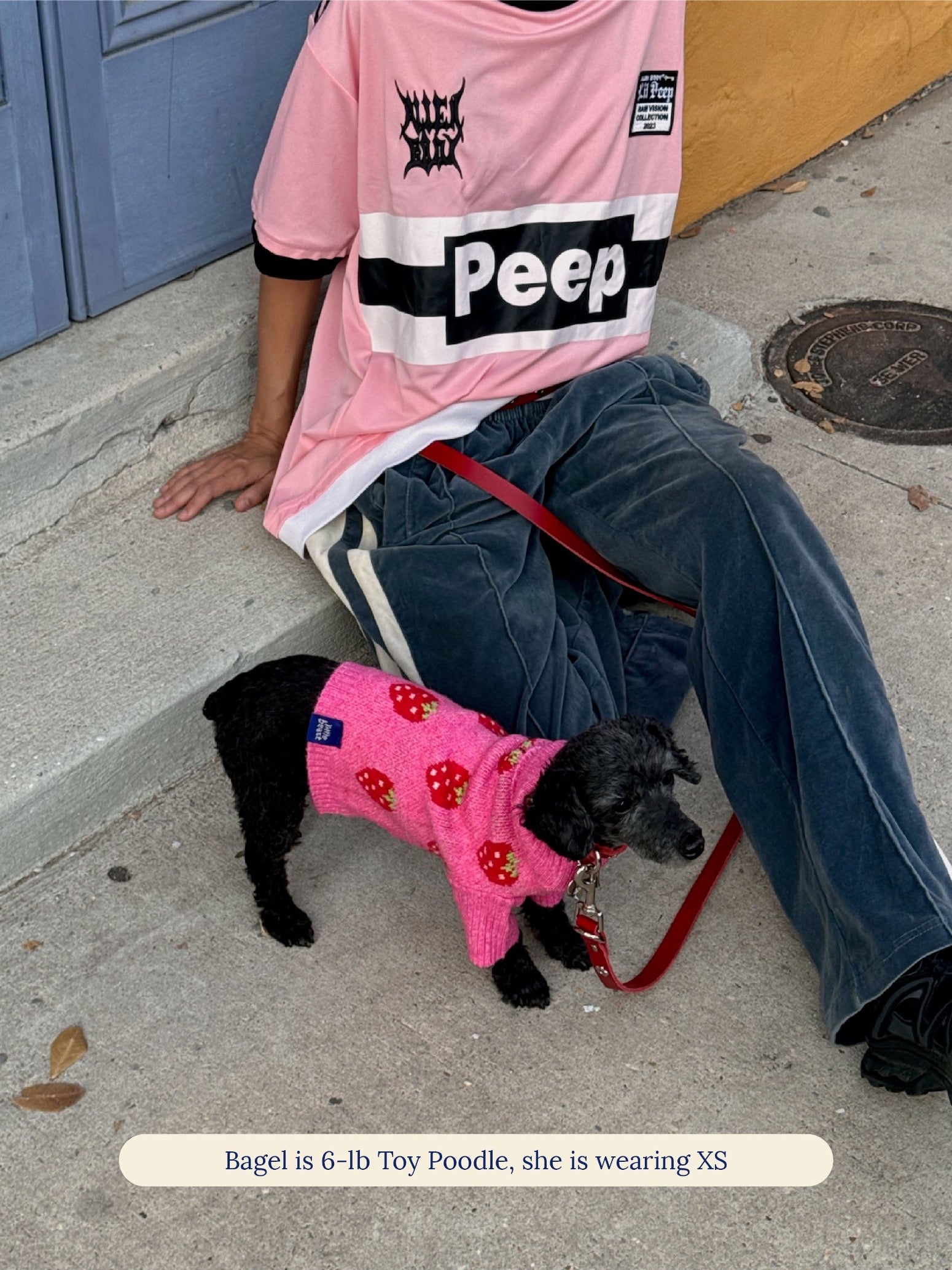 Little Beast Dog Sweater The Strawberry Sweater