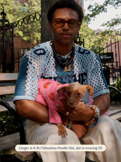 Little Beast Dog Sweater The Strawberry Sweater