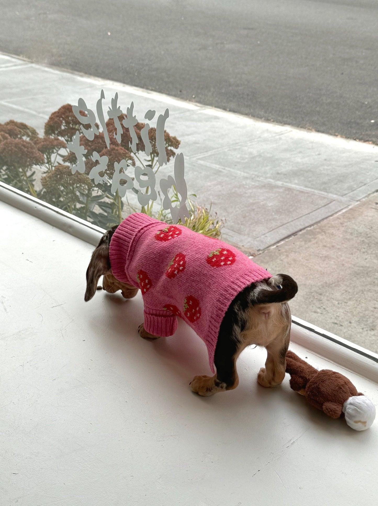 Little Beast Dog Sweater The Strawberry Sweater