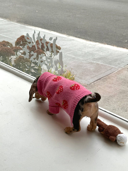 Little Beast Dog Sweater The Strawberry Sweater