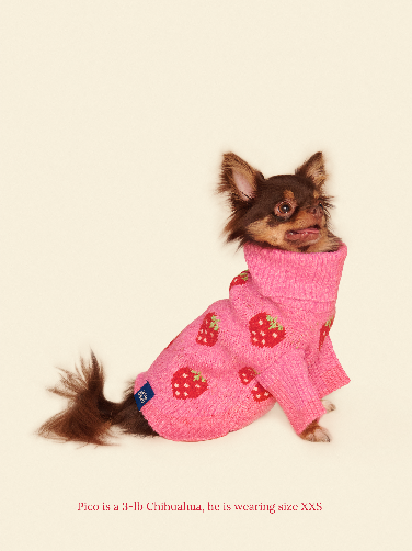 Little Beast Dog Sweater The Strawberry Sweater