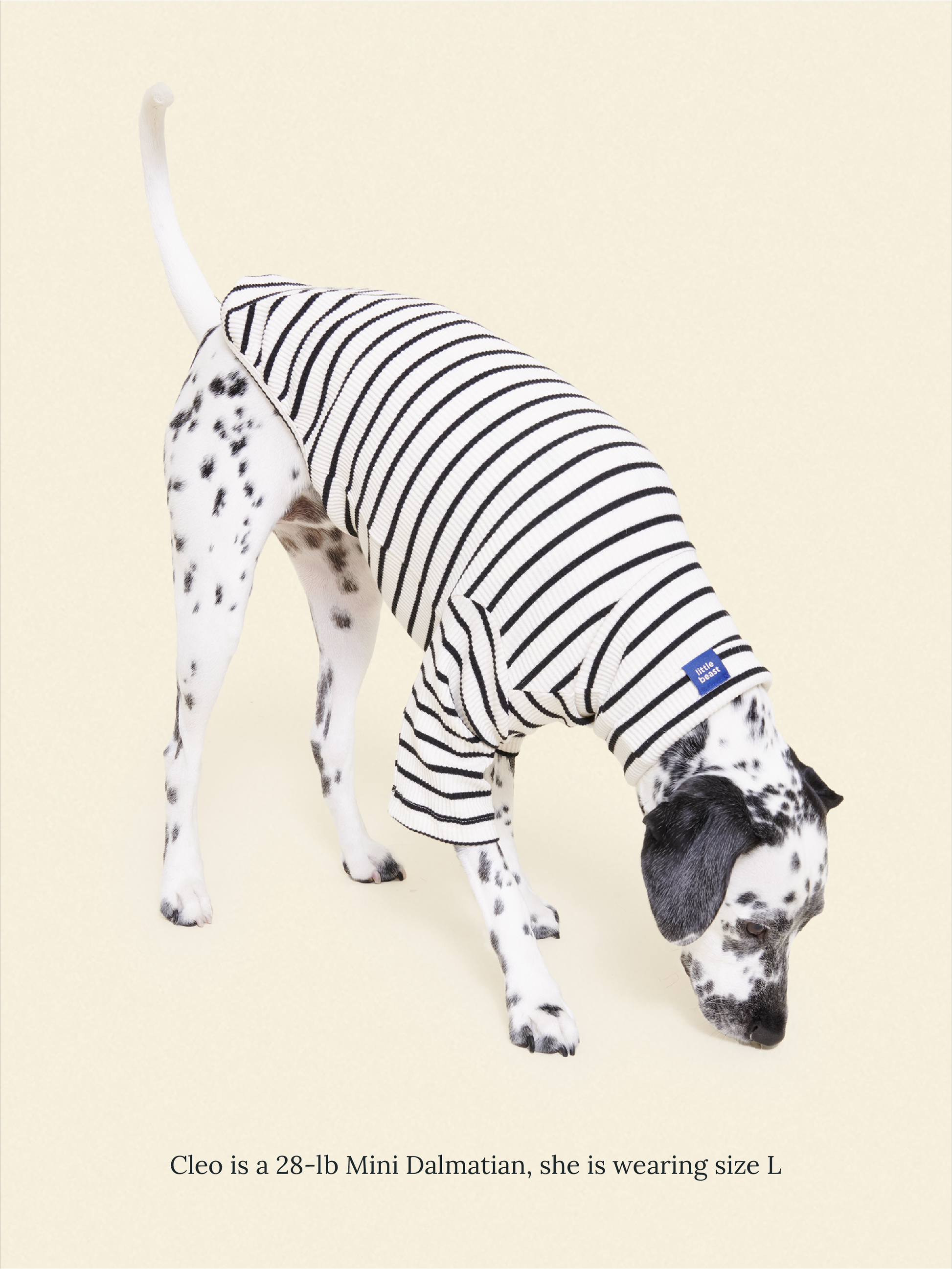 Little Beast Dog Shirt World's Your Oyster Shirt