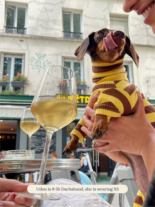 Little Beast Dog Onesie Yellow & Brown Onesie - FW25