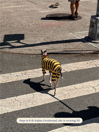 Little Beast Dog Onesie Yellow & Brown Onesie - FW25