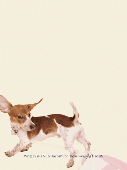 Little Beast Dog Collar You Mean The World To Me Collar - Pink