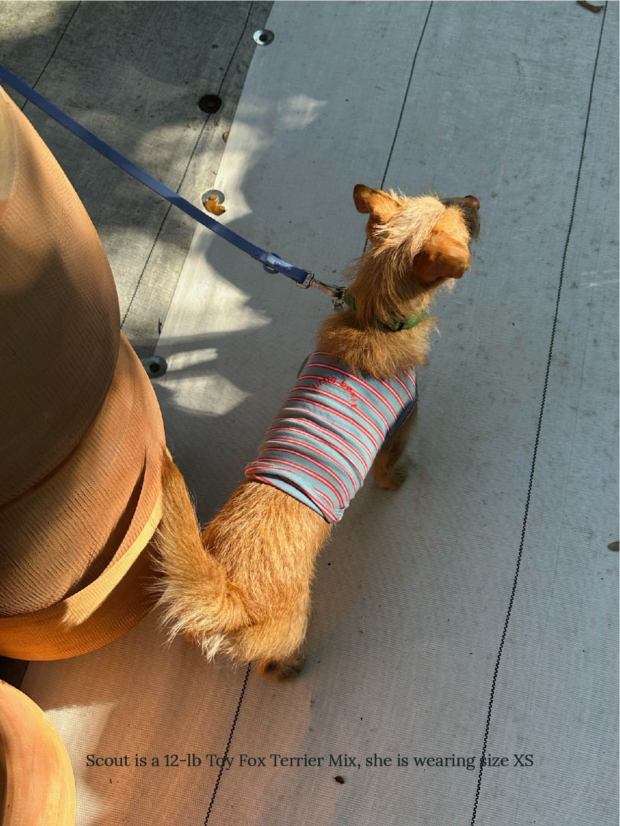 littlebeastus Dog Tank Top Gone Hiking Tank Top