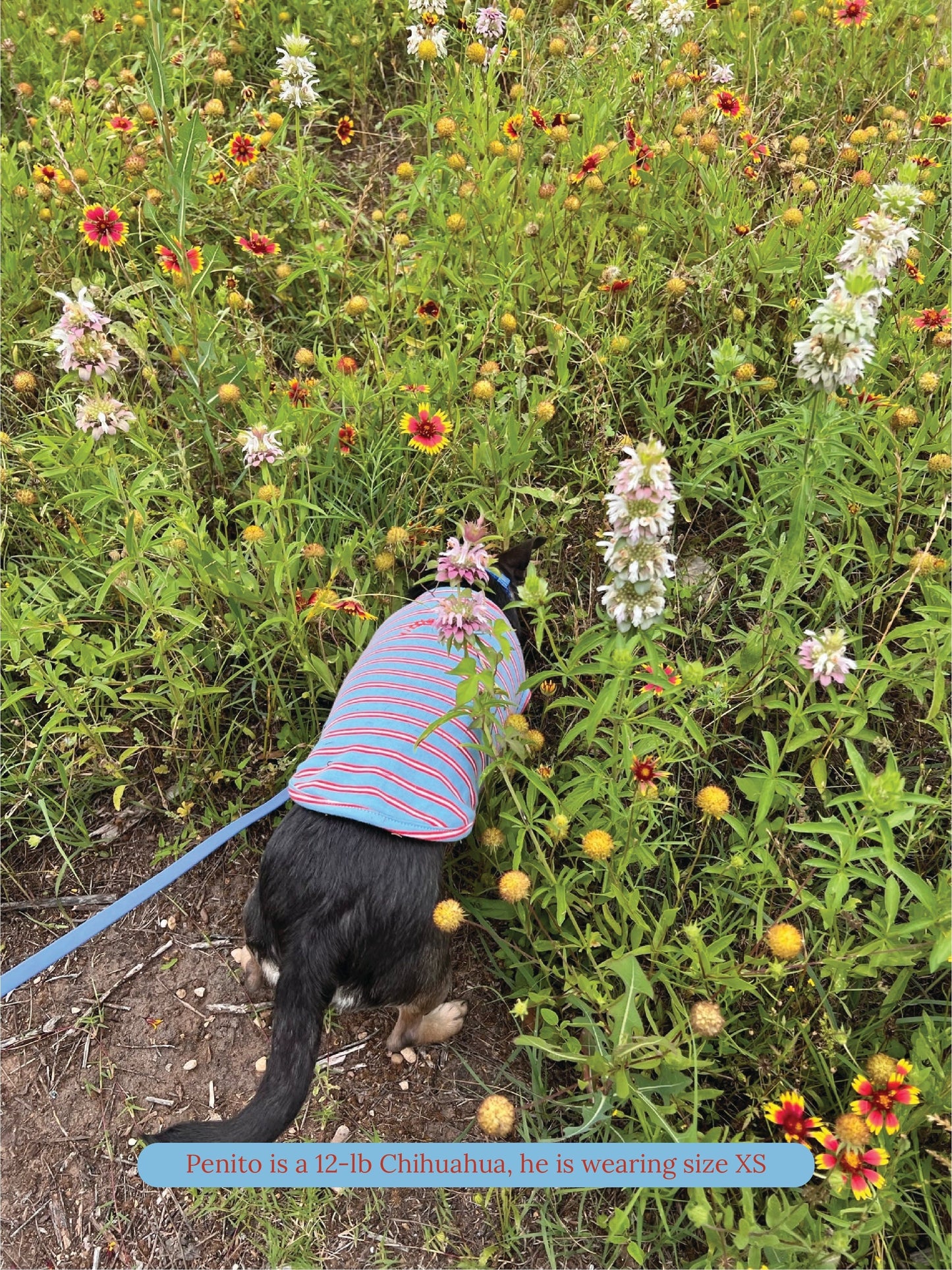 littlebeastus Dog Tank Top Gone Hiking Tank Top