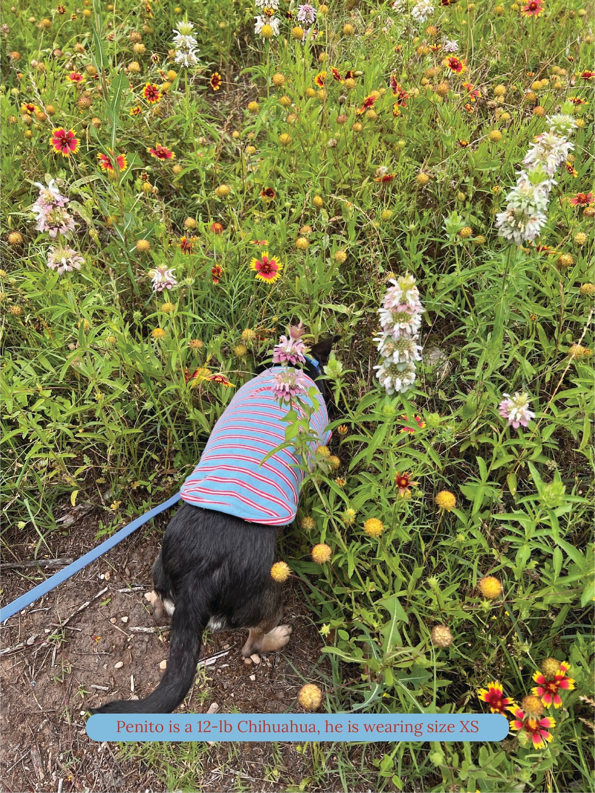 littlebeastus Dog Tank Top Gone Hiking Tank Top