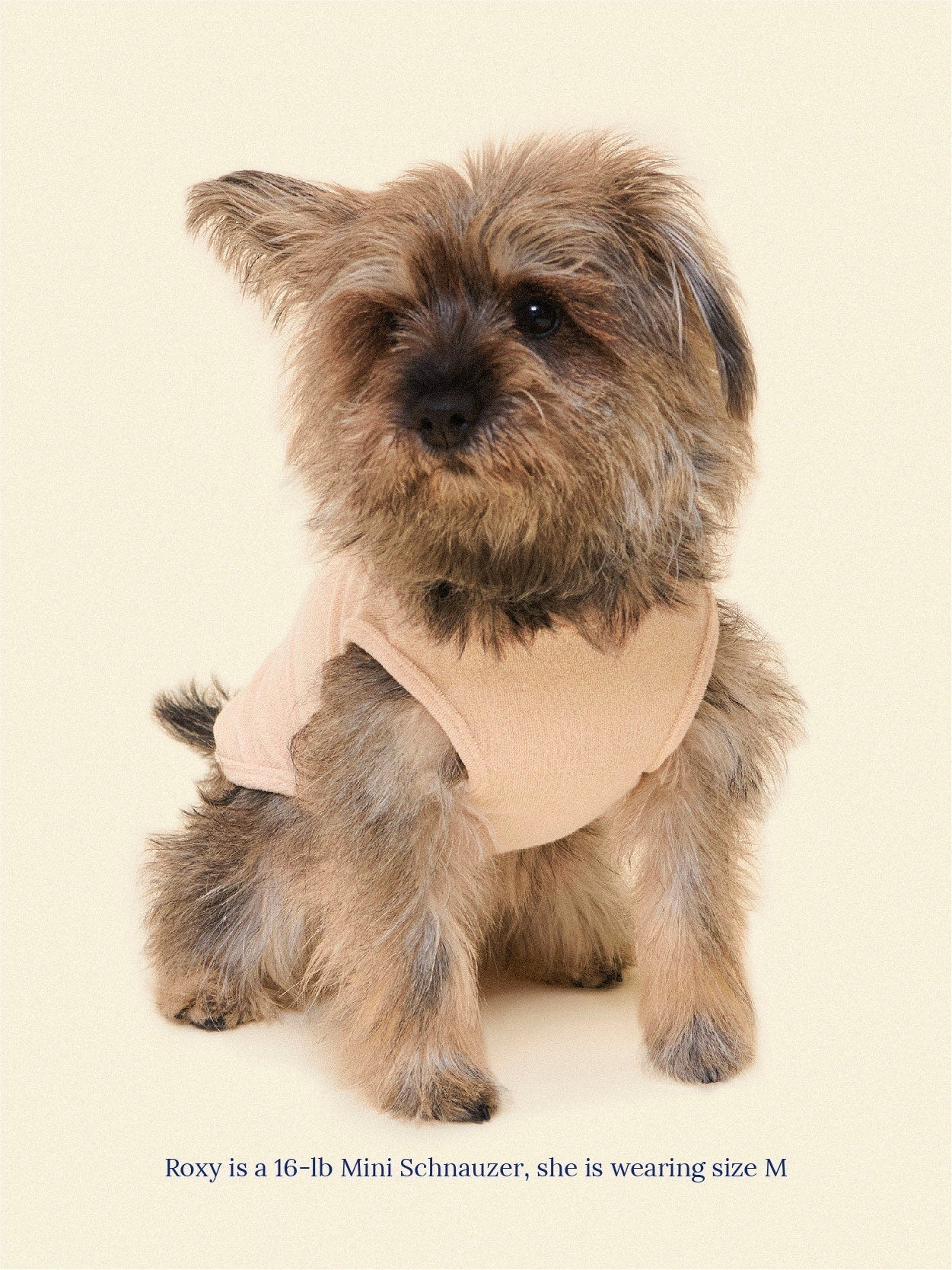 littlebeastus Dog Tank Top Hot Girl Summer Tank Top - Beige