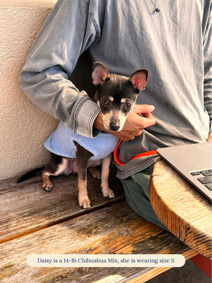 littlebeastus Dog Tank Top Hot Girl Summer Tank Top - Blue