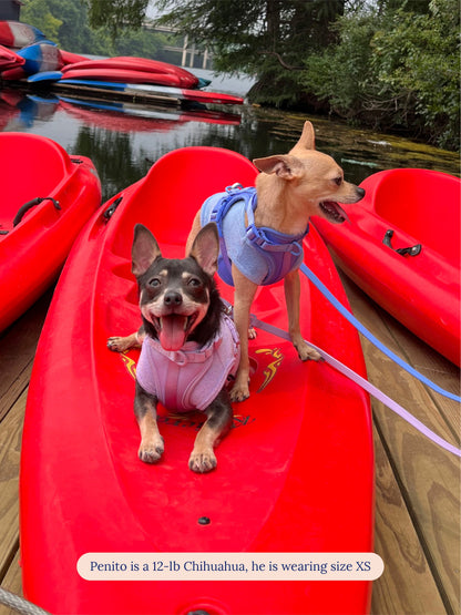 littlebeastus Dog Tank Top Hot Girl Summer Tank Top - Blue