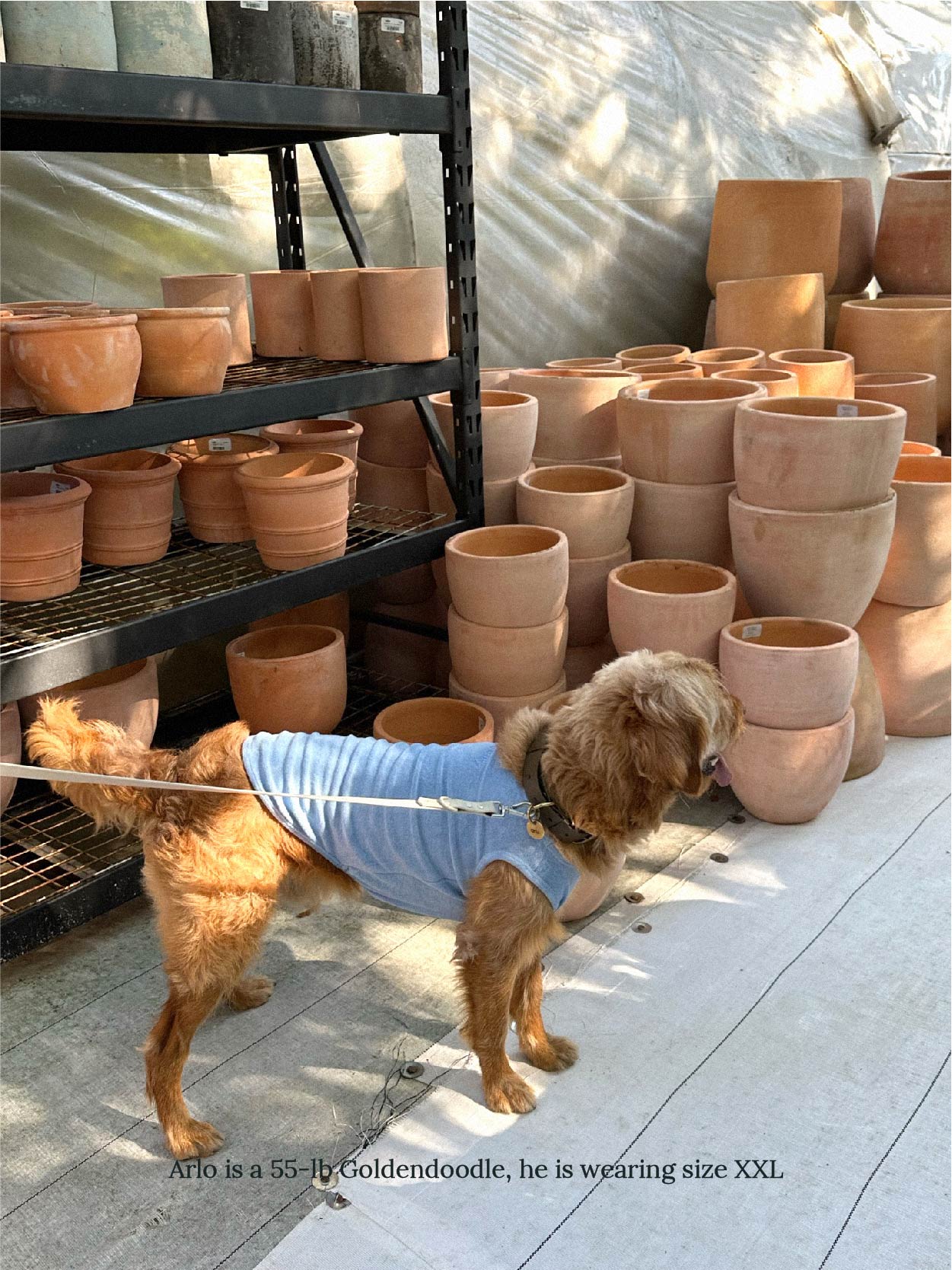 littlebeastus Dog Tank Top Hot Girl Summer Tank Top - Blue