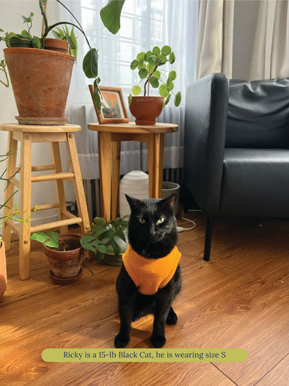 littlebeastus Dog Tank Top Hot Girl Summer Tank Top - Orange