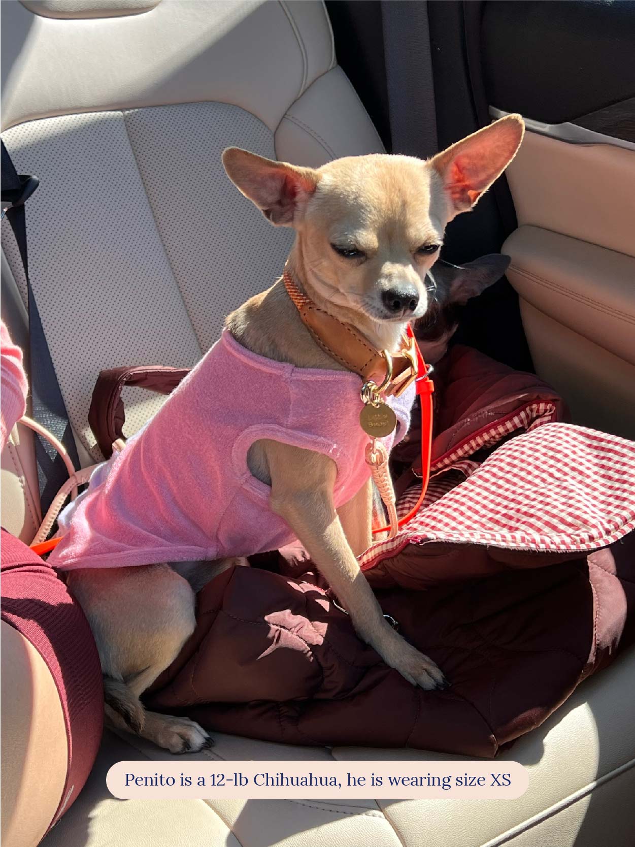 littlebeastus Dog Tank Top Hot Girl Summer Tank Top - Pink