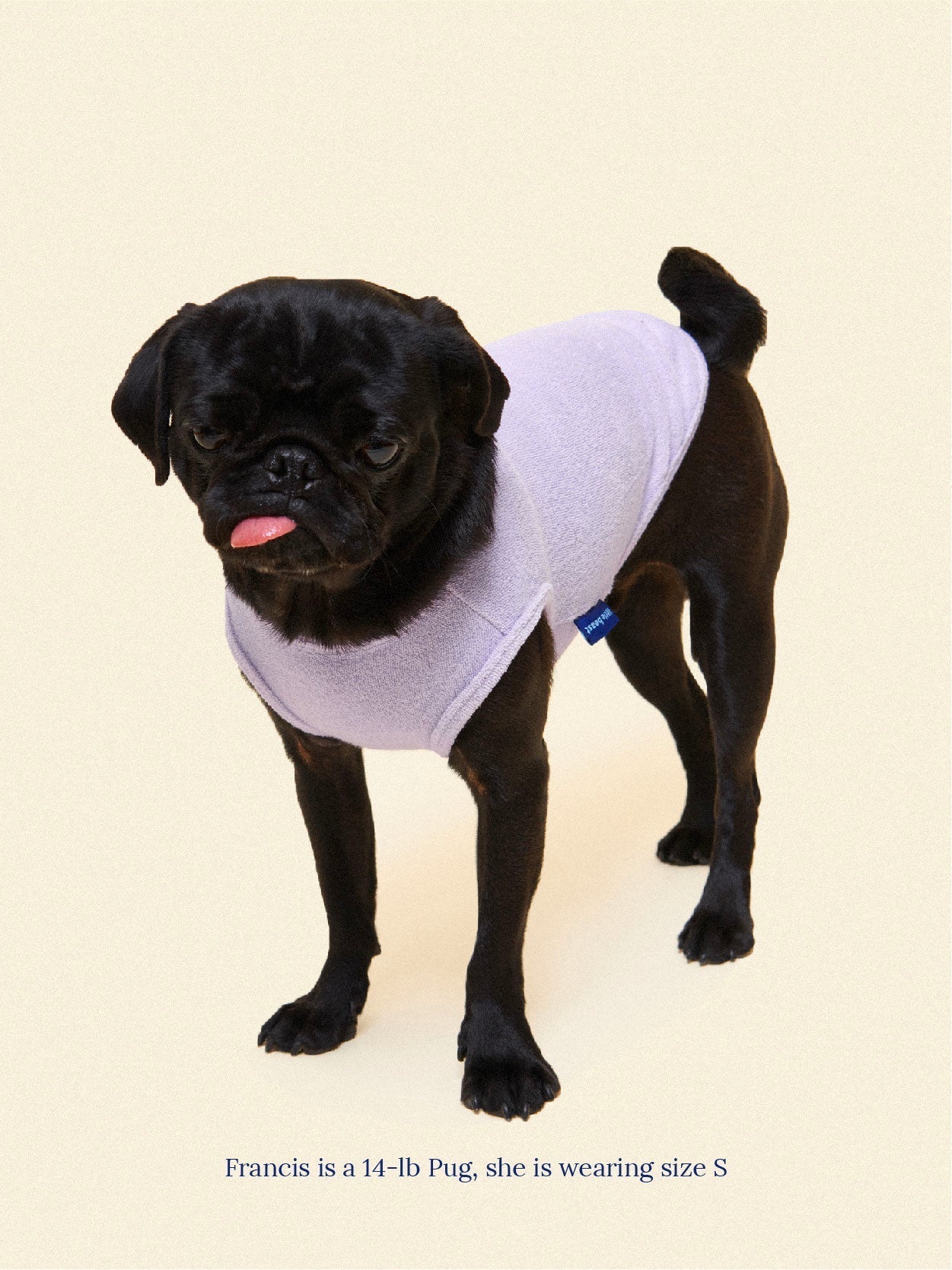 littlebeastus Dog Tank Top Hot Girl Summer Tank Top - Purple