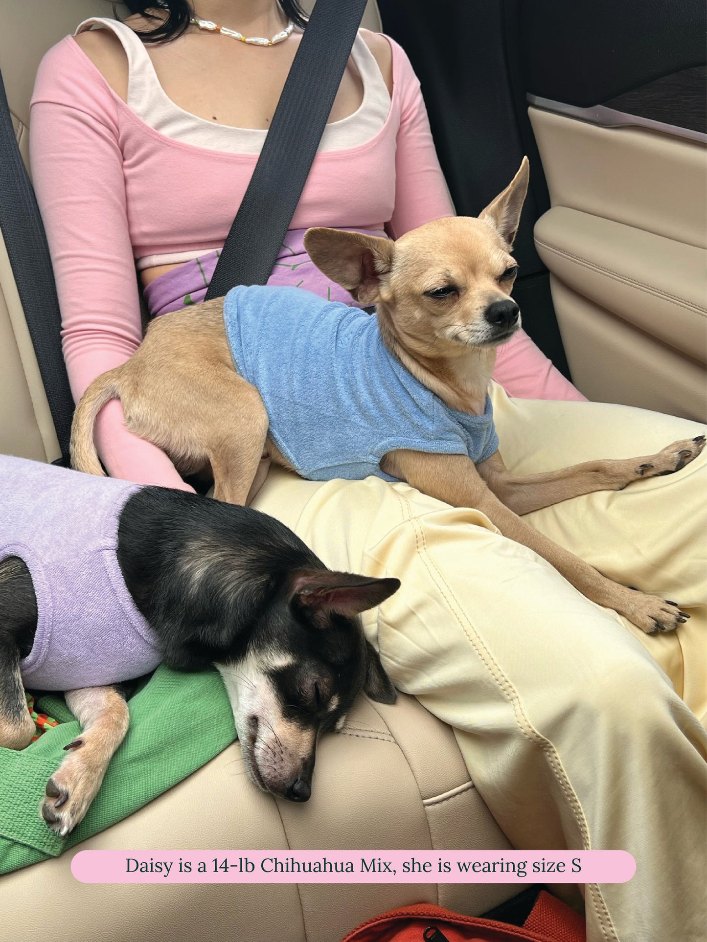 littlebeastus Dog Tank Top Hot Girl Summer Tank Top - Purple