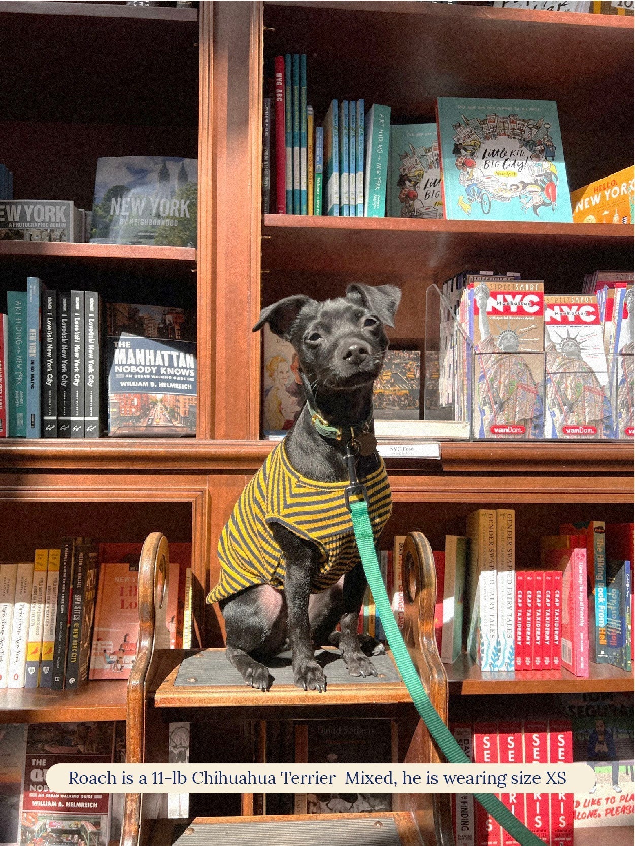 littlebeastus Dog Tank Top Met on Bumble Tank Top