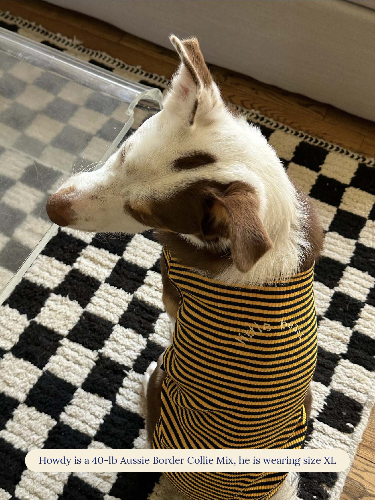 littlebeastus Dog Tank Top Met on Bumble Tank Top