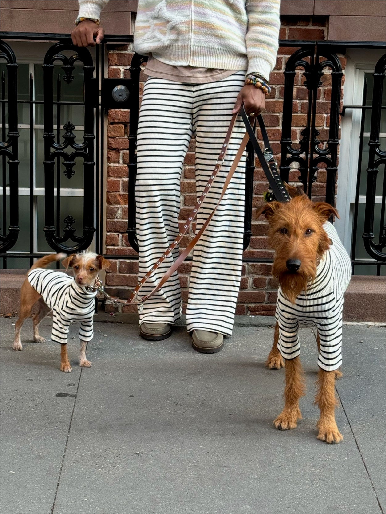 World's Your Oyster Lounge Pants