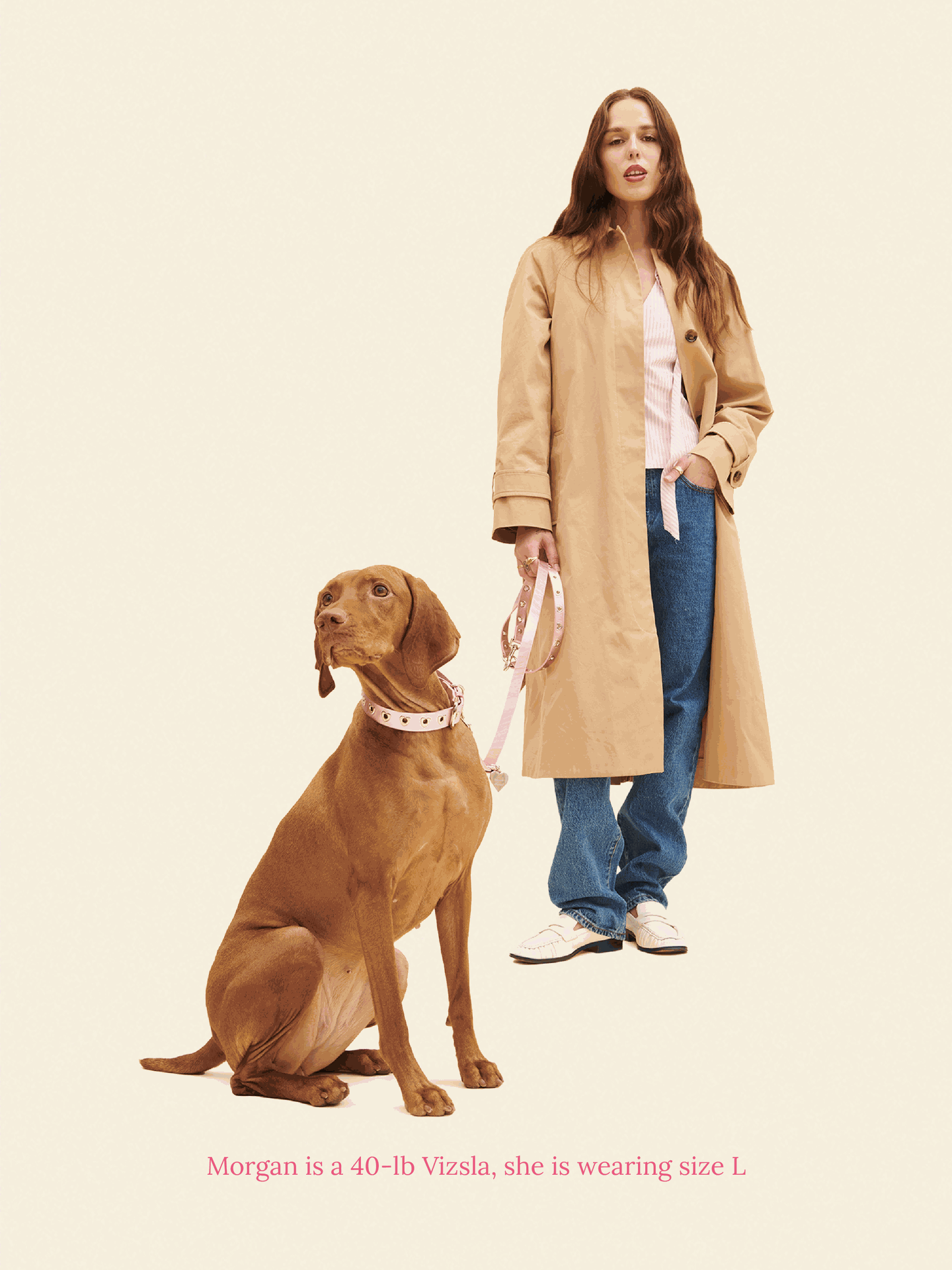 SJ Factory Dog Collar You Mean The World To Me Collar - Pink