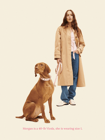 SJ Factory Dog Collar You Mean The World To Me Collar - Pink