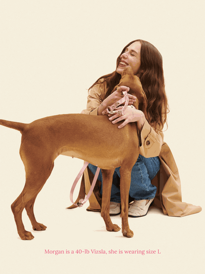 SJ Factory Dog Collar You Mean The World To Me Collar - Pink