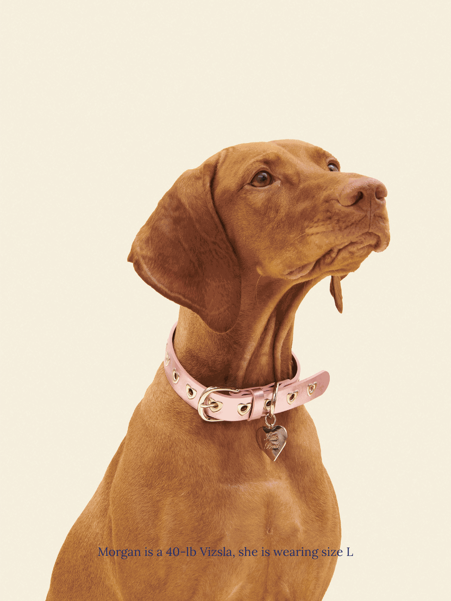 SJ Factory Dog Collar You Mean The World To Me Collar - Pink