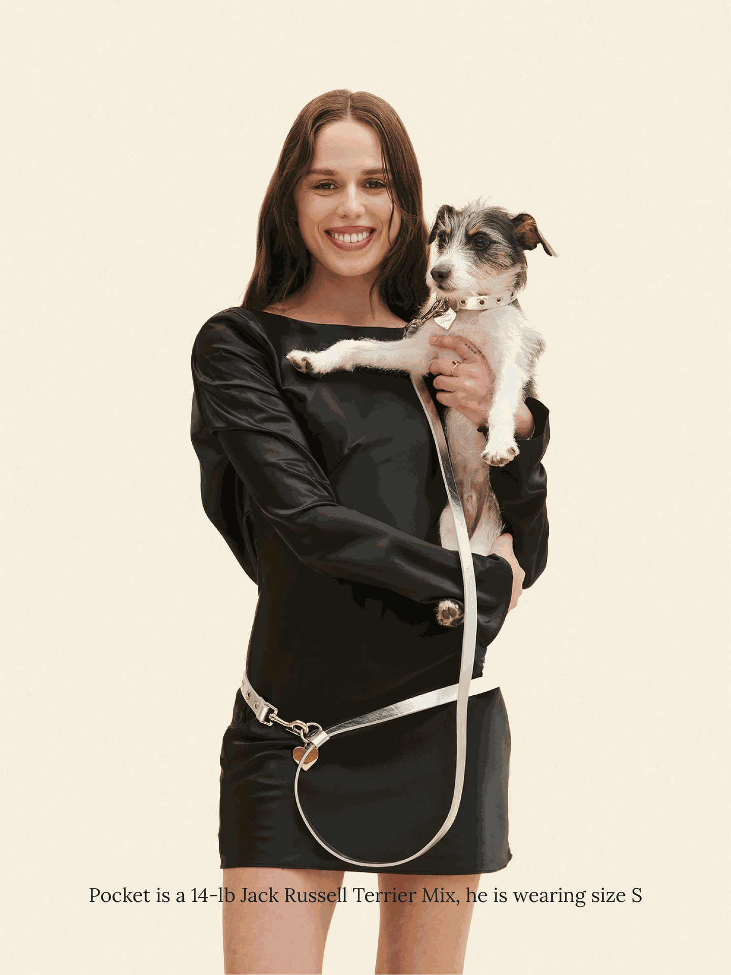 SJ Factory Dog Collar You Mean The World To Me Collar - Silver