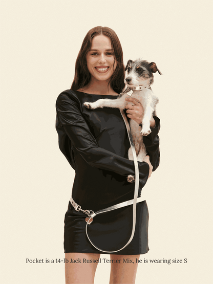 SJ Factory Dog Collar You Mean The World To Me Collar - Silver