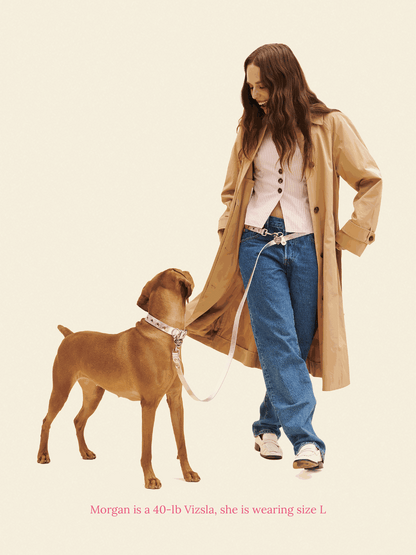 SJ Factory Dog Collar You Mean The World To Me Collar - Silver