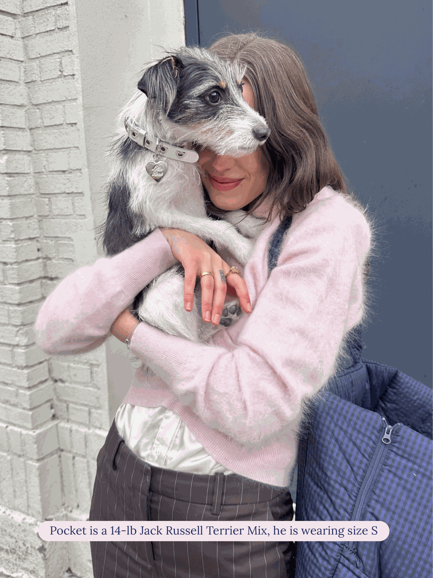 SJ Factory Dog Collar You Mean The World To Me Collar - Silver