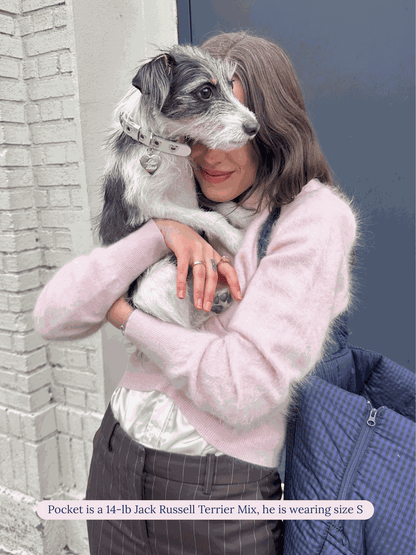 SJ Factory Dog Collar You Mean The World To Me Collar - Silver