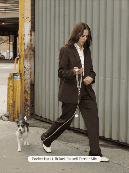 SJ Factory Dog Leash ONESIZE You Mean The World To Me Leash - Silver