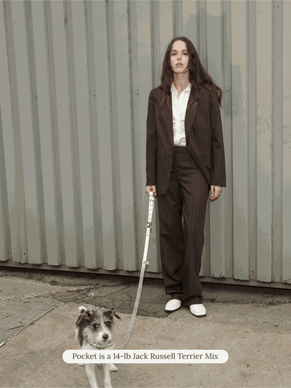 SJ Factory Dog Leash ONESIZE You Mean The World To Me Leash - Silver