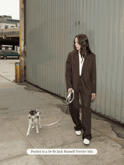 SJ Factory Dog Leash ONESIZE You Mean The World To Me Leash - Silver