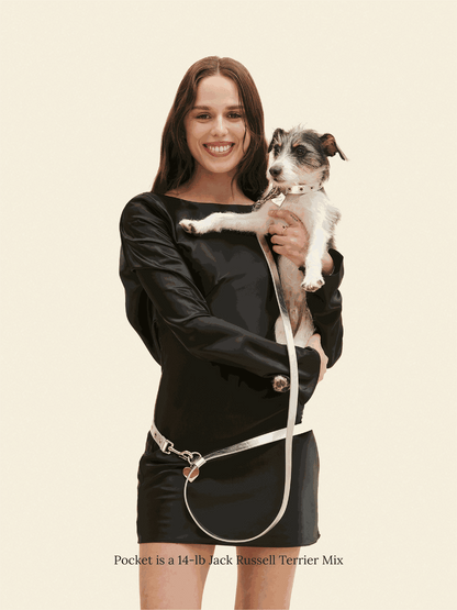 SJ Factory Dog Leash ONESIZE You Mean The World To Me Leash - Silver