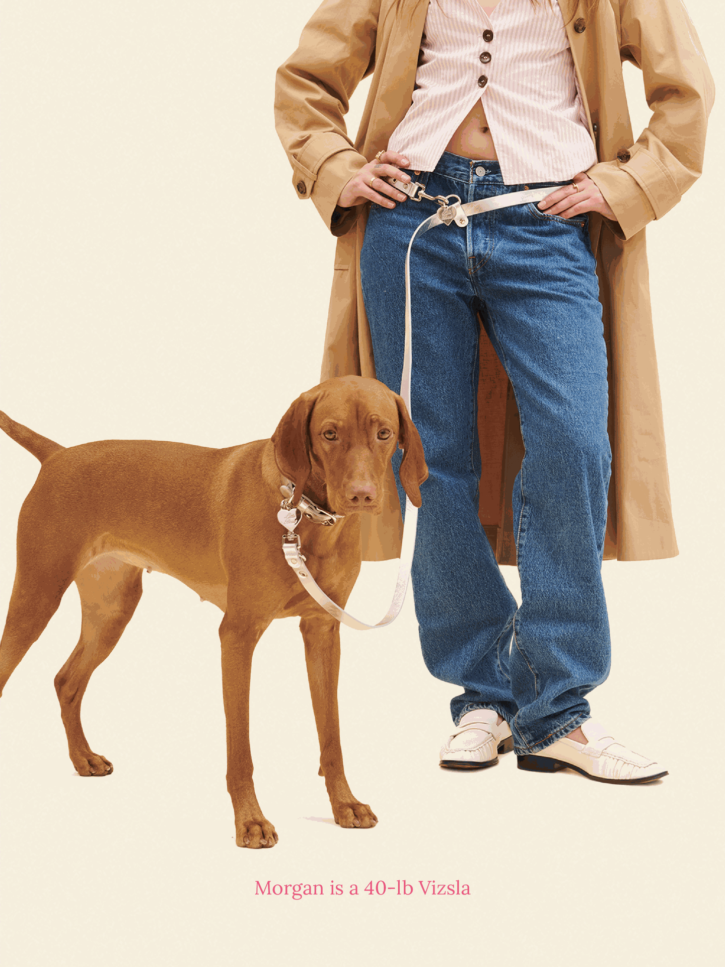 SJ Factory Dog Leash ONESIZE You Mean The World To Me Leash - Silver