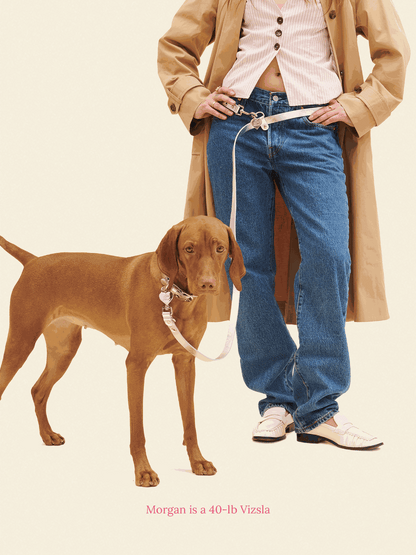 SJ Factory Dog Leash ONESIZE You Mean The World To Me Leash - Silver