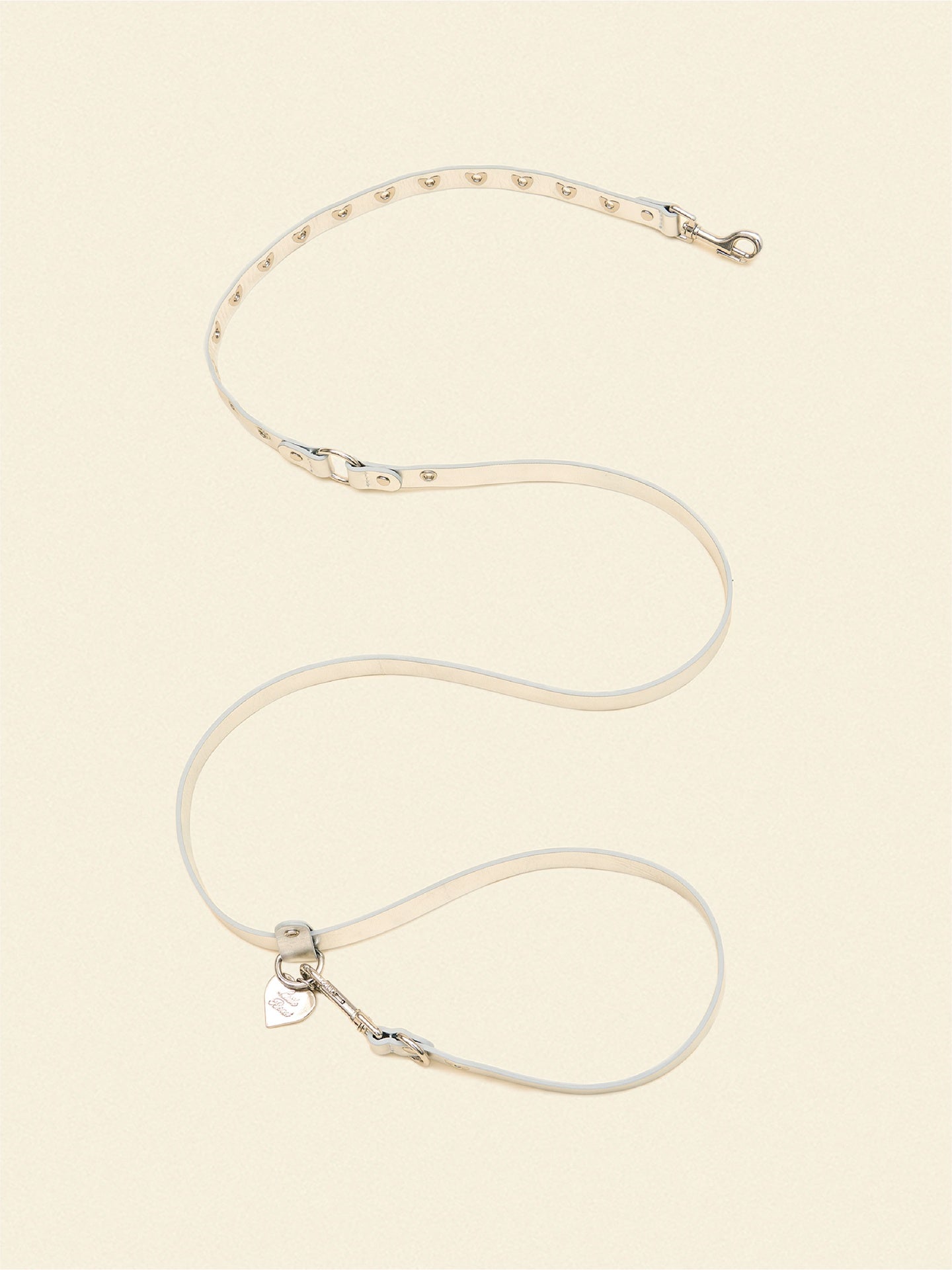 SJ Factory Dog Leash ONESIZE You Mean The World To Me Leash - Silver